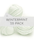 10 Pack Wander Acrylic Yarn Yarn FurlsCrochet Wintermint