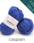 Discontinued Wander Acrylic Yarn Yarn FurlsCrochet 